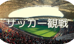 サッカー観戦